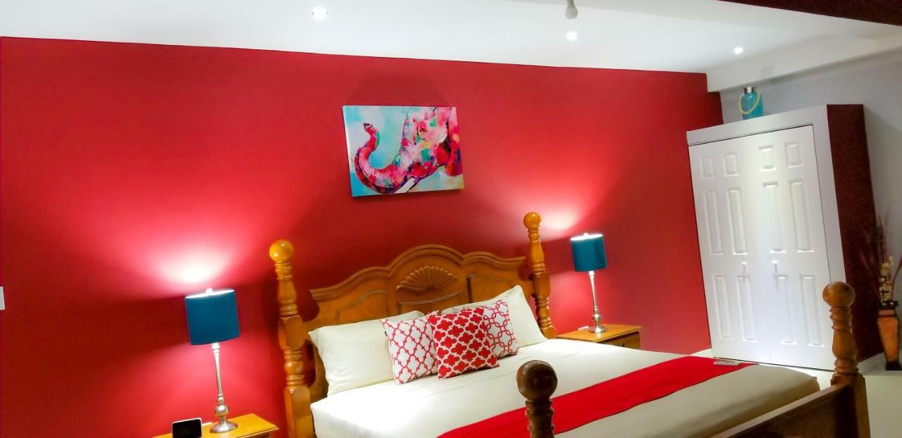 New Kingston Guest Apartments @ Donhead Экстерьер фото